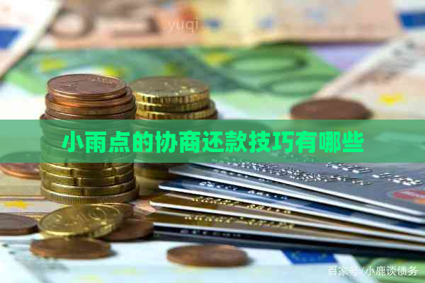 小雨点的协商还款技巧有哪些