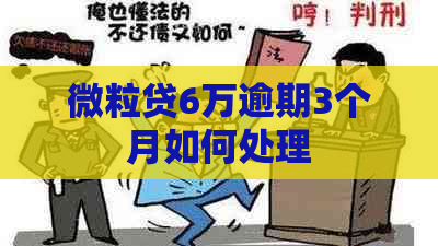 微粒贷6万逾期3个月如何处理