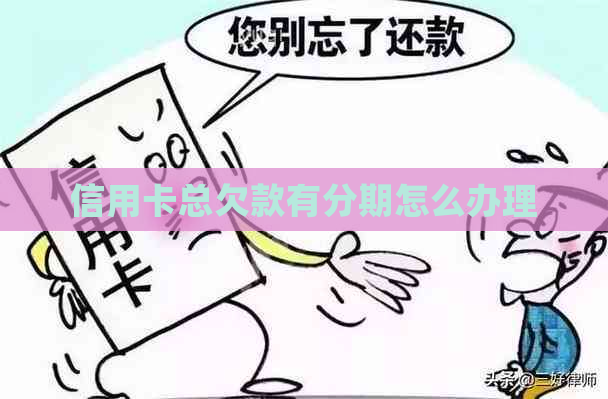 信用卡总欠款有分期怎么办理
