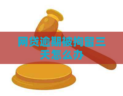 网贷逾期被拘留三天怎么办