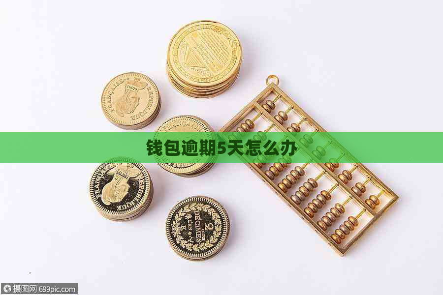 钱包逾期5天怎么办