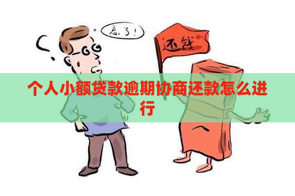 个人小额贷款逾期协商还款怎么进行