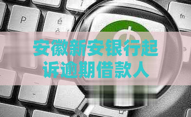 安徽新安银行起诉逾期借款人