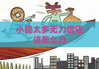 小贷太多无力偿还该怎么办
