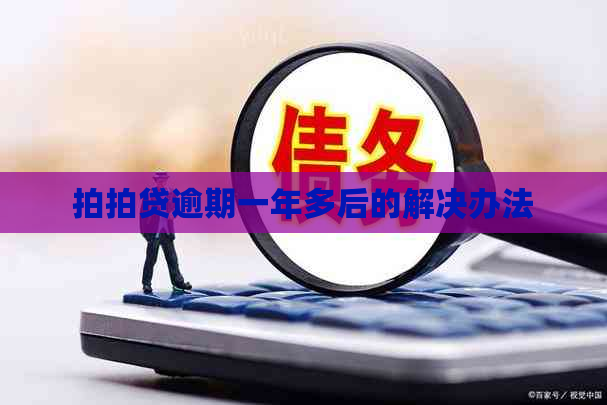 逾期一年多后的解决办法