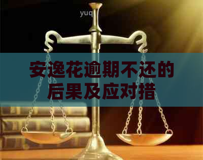 安逸花逾期不还的后果及应对措