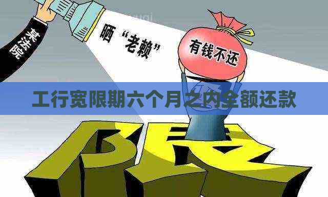 工行宽限期六个月之内全额还款