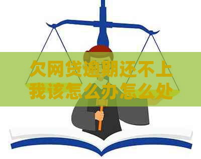 欠网贷逾期还不上我该怎么办怎么处理