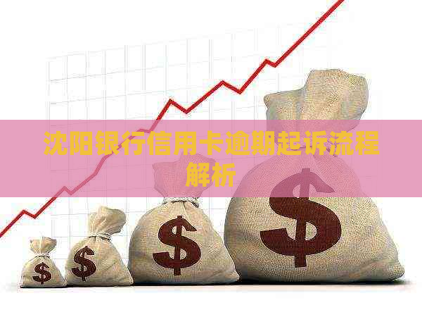 沈阳银行信用卡逾期起诉流程解析