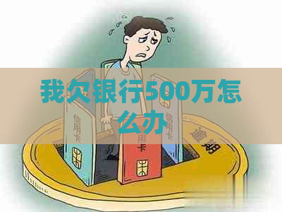 我欠银行500万怎么办