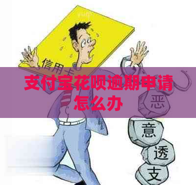 支付宝花呗逾期申请怎么办