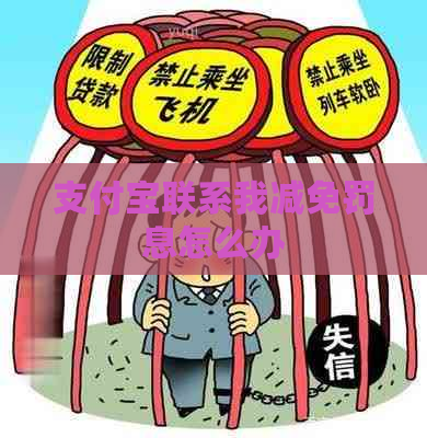 支付宝联系我减免罚息怎么办