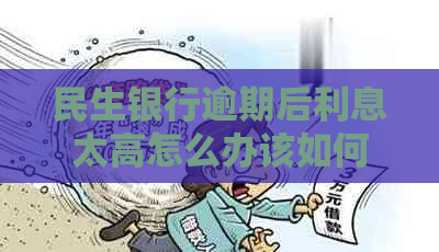 民生银行逾期后利息太高怎么办该如何应对