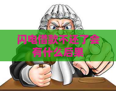 闪电借款不还了会有什么后果