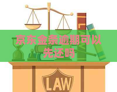 京东金条逾期可以先还吗