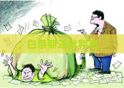 白条期还款利息