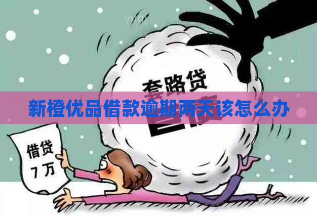 新橙优品借款逾期两天该怎么办
