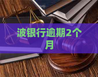 波银行逾期2个月