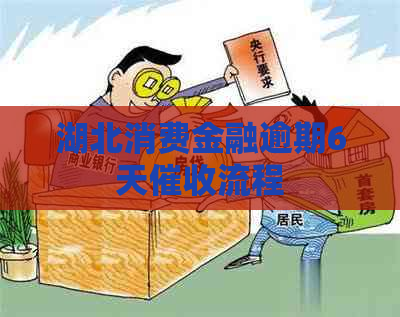 湖北消费金融逾期6天流程