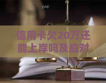 信用卡欠20万还能上岸吗及应对措分享