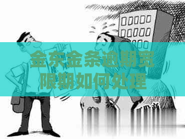金东金条逾期宽限期如何处理
