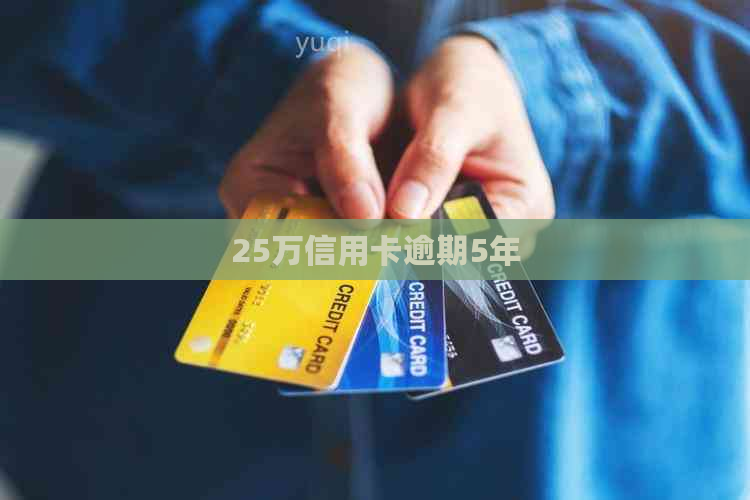 25万信用卡逾期5年