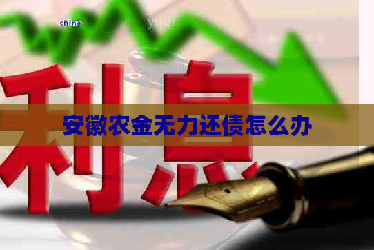 安徽农金无力还债怎么办