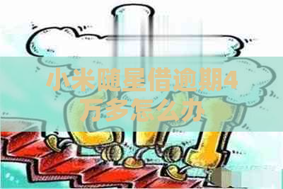 小米随星借逾期4万多怎么办