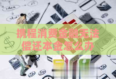 携程消费金融无法偿还本金怎么办