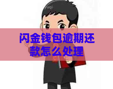 闪金钱包逾期还款怎么处理