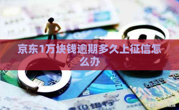 京东1万块钱逾期多久上怎么办