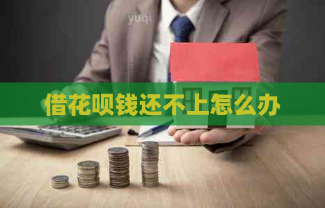 借花呗钱还不上怎么办