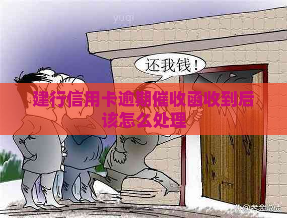 建行信用卡逾期函收到后该怎么处理