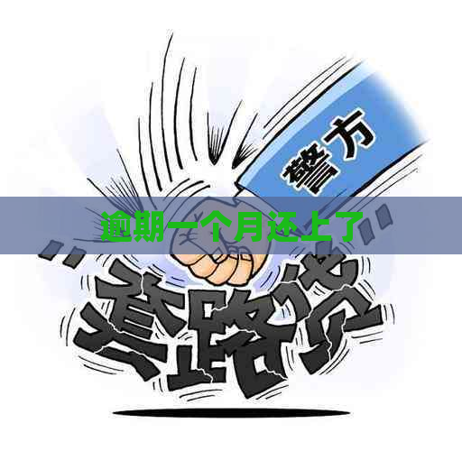 逾期一个月还上了