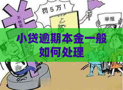 小贷逾期本金一般如何处理