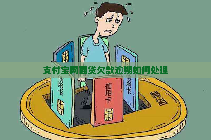 支付宝网商贷欠款逾期如何处理