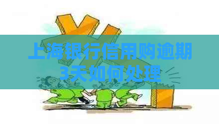 上海银行信用购逾期3天如何处理