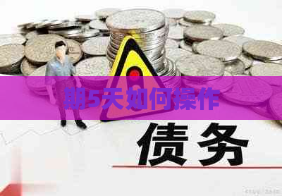 期5天如何操作