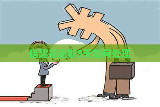 借趣花逾期5天如何处理