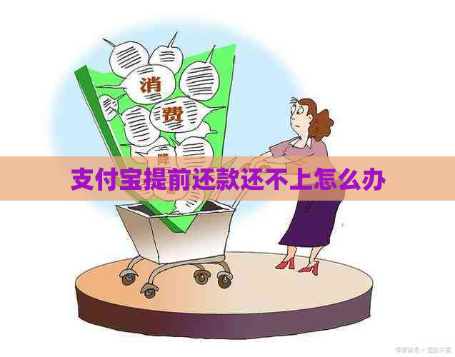 支付宝提前还款还不上怎么办