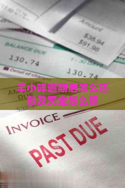 羊小咩逾期后怎么还款及罚金怎么算