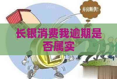 长银消费我逾期是否属实