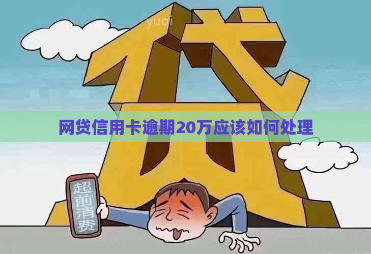 网贷信用卡逾期20万应该如何处理