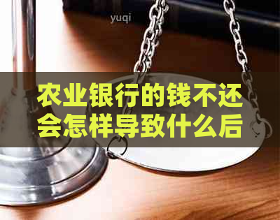 农业银行的钱不还会怎样导致什么后果