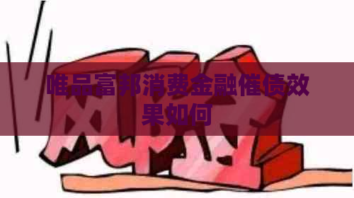 唯品富邦消费金融催债效果如何