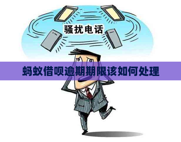 蚂蚁借呗逾期期限该如何处理