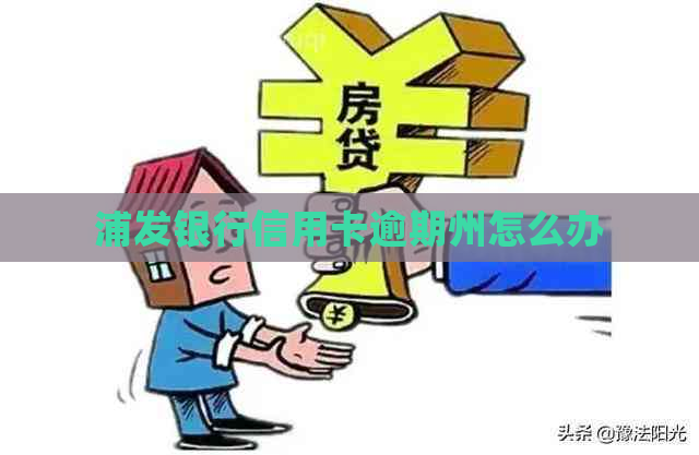 浦发银行信用卡逾期州怎么办