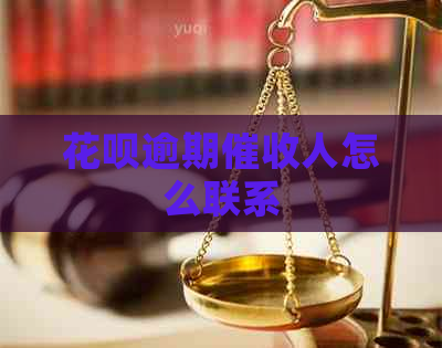 花呗逾期人怎么联系