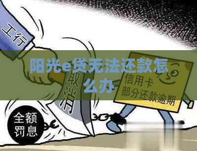 阳光e贷无法还款怎么办