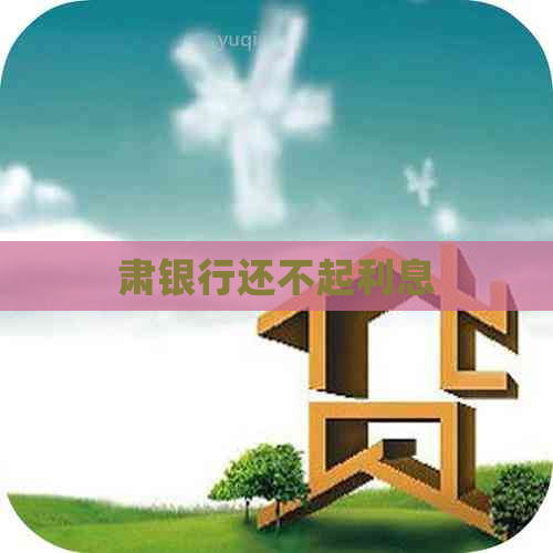 肃银行还不起利息